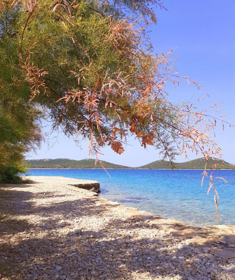Eden Lady Mobile Home, Croatia, ดราเก ภายนอก รูปภาพ
